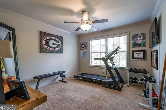 175 Tillman Ln, Athens, GA 30606 - exercise area featuring carpet flooring, ceiling fan, baseboards, and ornamental molding