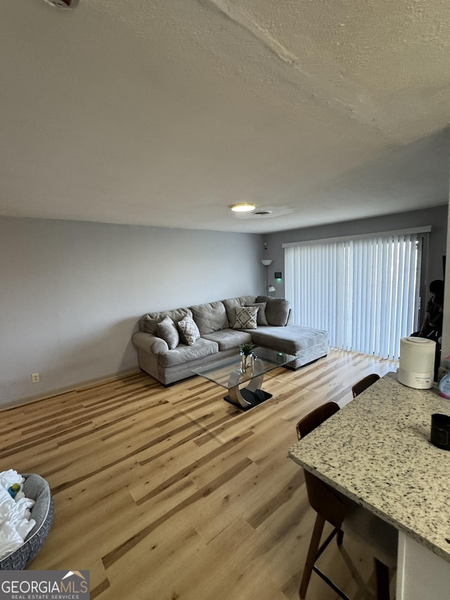 2461 Mcalpin Ter, East Point, GA 30344 - living area featuring wood finished floors and a textured ceiling