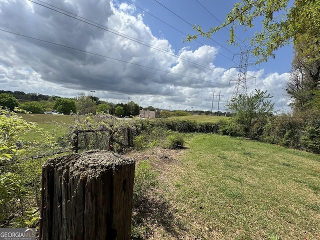 2461 Mcalpin Ter, East Point, GA 30344 - view of grassy yard