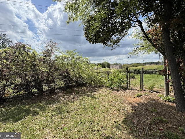 2461 Mcalpin Ter, East Point, GA 30344 - view of yard