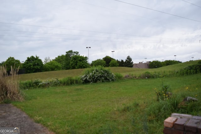 2461 Mcalpin Ter, East Point, GA 30344 - view of yard with a rural view