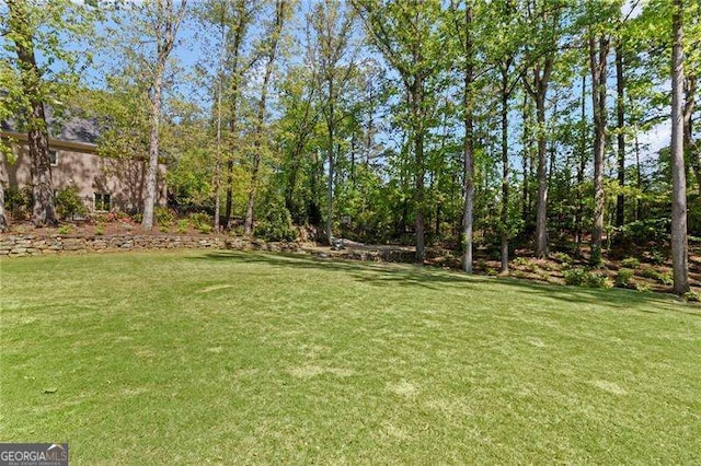 5790 Heards Forest Dr, Atlanta, GA 30328 - view of yard
