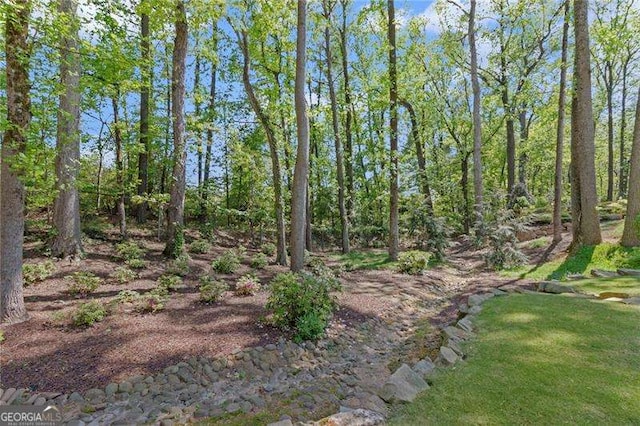 5790 Heards Forest Dr, Atlanta, GA 30328 - view of nature