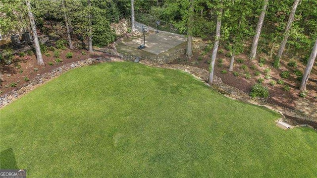 5790 Heards Forest Dr, Atlanta, GA 30328 - view of yard