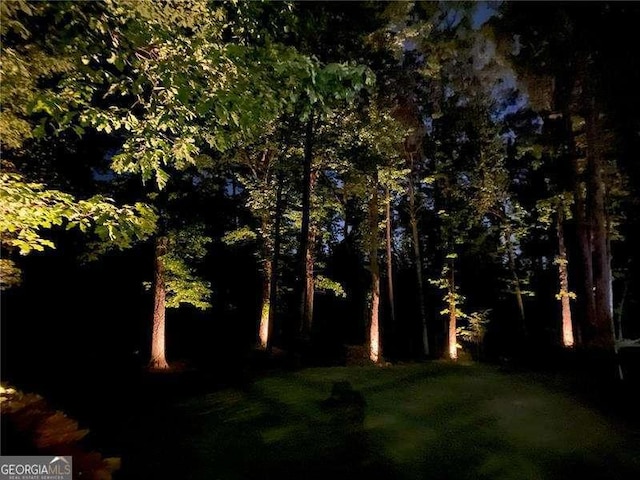 5790 Heards Forest Dr, Atlanta, GA 30328 - view of nature