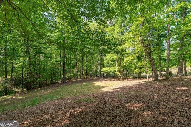 1811 Fountain Hill Ct, Duluth, GA 30097 - view of yard with a wooded view