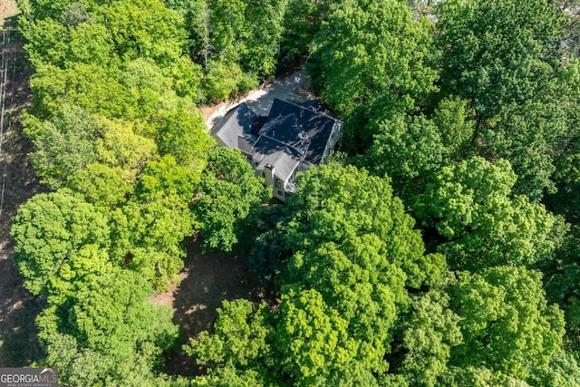 1811 Fountain Hill Ct, Duluth, GA 30097 - view of property location with a forest