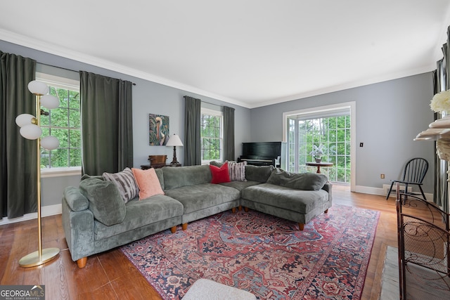1419 Briarcliff Rd, Macon, GA 31201 - living area featuring baseboards, a healthy amount of sunlight, and crown molding