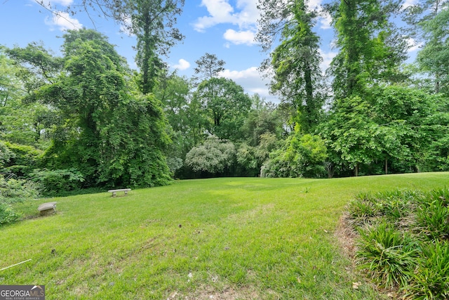 1419 Briarcliff Rd, Macon, GA 31201 - view of yard