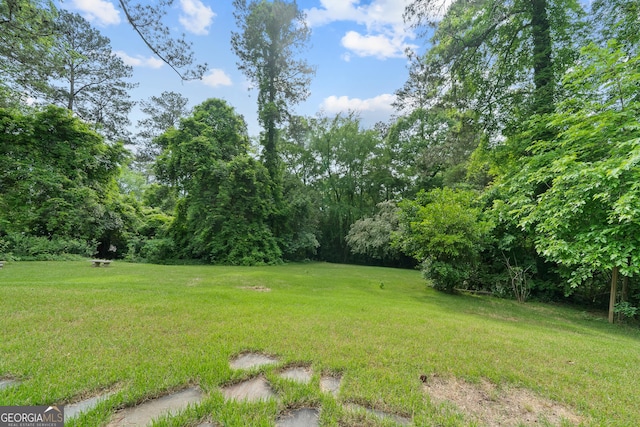 1419 Briarcliff Rd, Macon, GA 31201 - view of yard