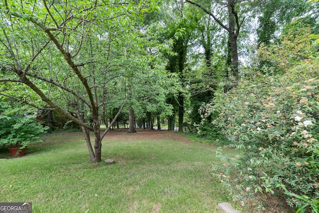 1419 Briarcliff Rd, Macon, GA 31201 - view of yard