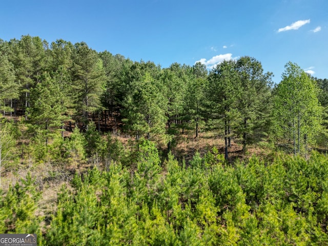 163 Stables Loop, Blairsville, GA 30512