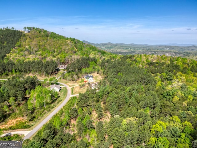 163 Stables Loop, Blairsville, GA 30512