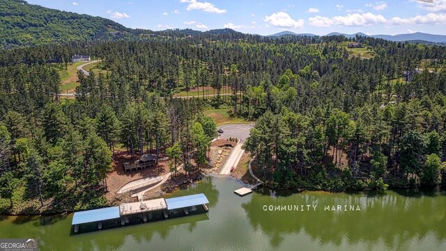 163 Stables Loop, Blairsville, GA 30512