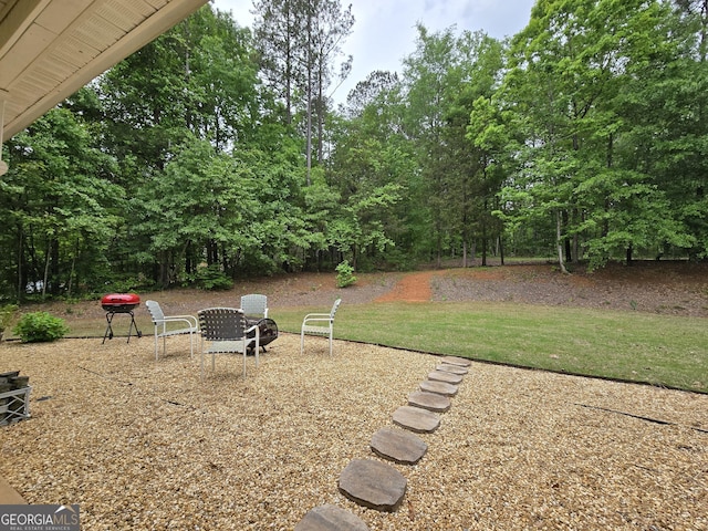 view of yard