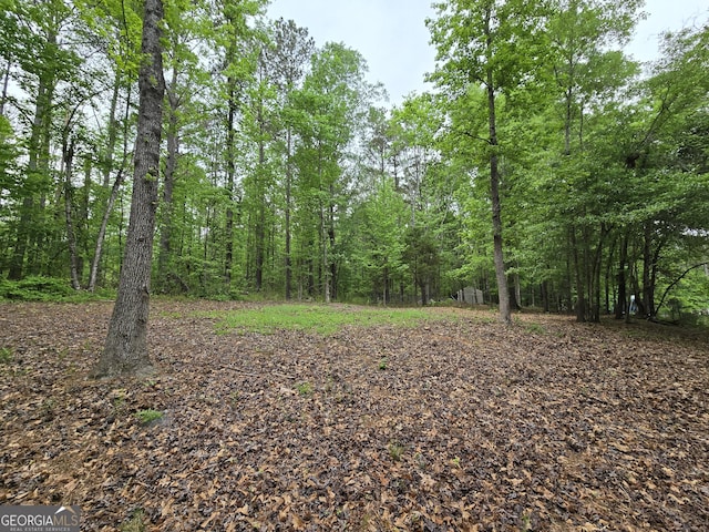 view of nature with a forest view