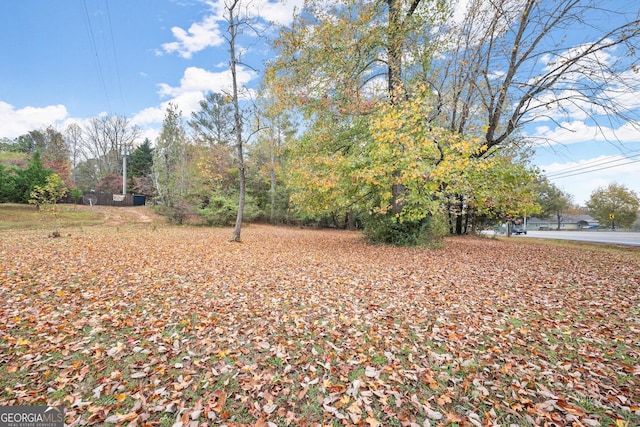 4701 Cleveland Hwy, Gainesville, GA 30506 - view of yard