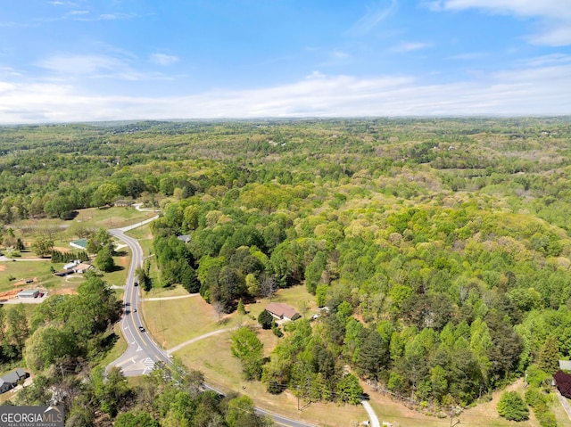 4701 Cleveland Hwy, Gainesville, GA 30506 - bird's eye view of a forest