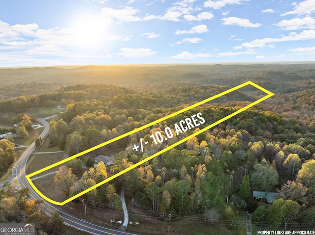 4701 Cleveland Hwy, Gainesville, GA 30506 - aerial overview of property's location with a forest and property parcel outlined