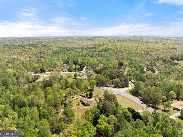 4701 Cleveland Hwy, Gainesville, GA 30506 - drone / aerial view of a forest