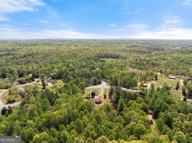 4701 Cleveland Hwy, Gainesville, GA 30506 - drone / aerial view of a forest