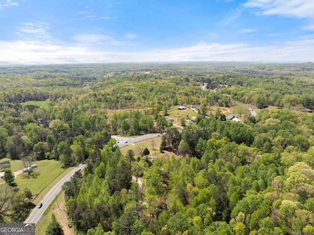 4701 Cleveland Hwy, Gainesville, GA 30506 - bird's eye view of a forest