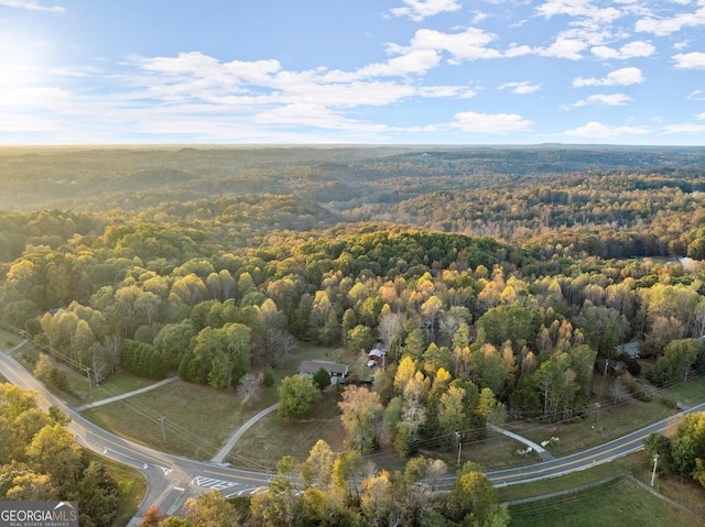 4701 Cleveland Hwy, Gainesville, GA 30506 - aerial overview of property's location featuring a forest