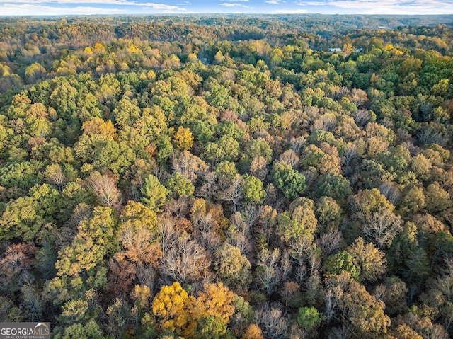4701 Cleveland Hwy, Gainesville, GA 30506 - aerial overview of property's location featuring a heavily wooded area