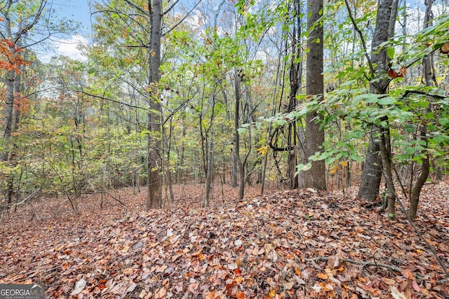 4701 Cleveland Hwy, Gainesville, GA 30506 - view of tree filled area