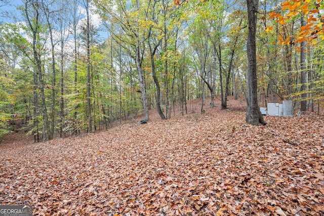 4701 Cleveland Hwy, Gainesville, GA 30506 - view of wooded area