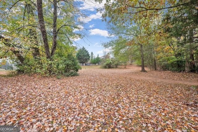 4701 Cleveland Hwy, Gainesville, GA 30506 - view of yard