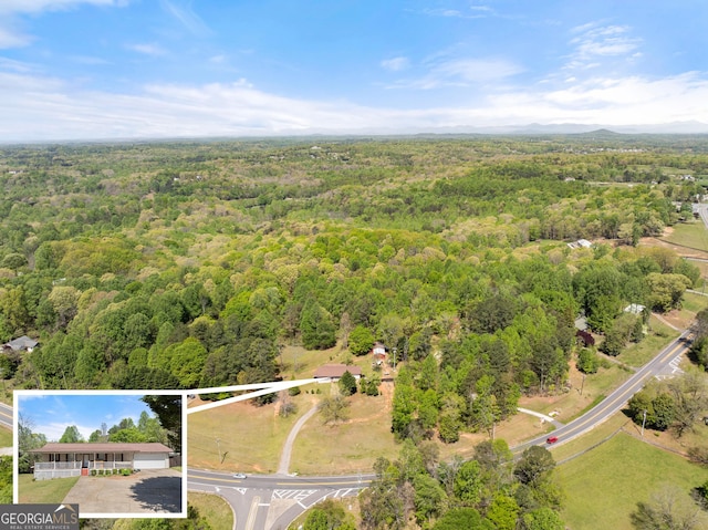 4701 Cleveland Hwy, Gainesville, GA 30506 - view of property location featuring a heavily wooded area and property boundaries highlighted