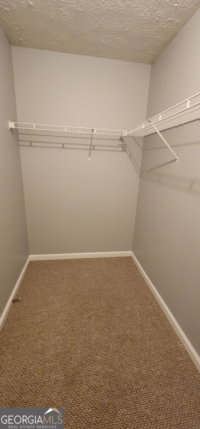 spacious closet featuring carpet flooring