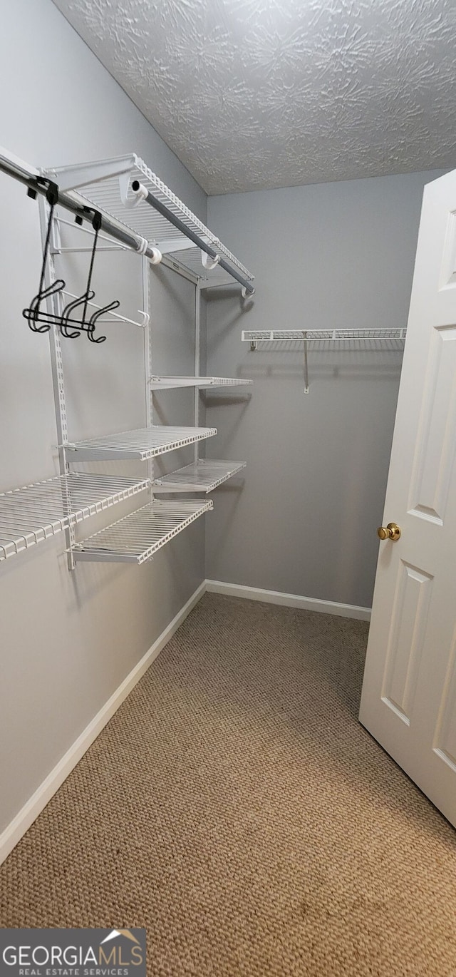 spacious closet featuring carpet