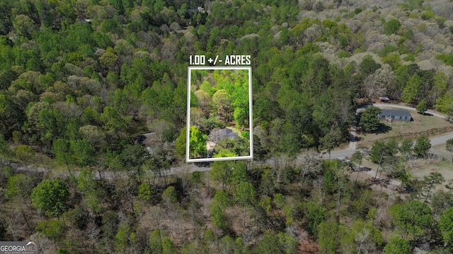 bird's eye view with a forest view