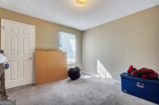 108 Magnolia Plantation Trce Unit 108, Hinesville, GA 31313 - miscellaneous room featuring carpet flooring and a textured ceiling