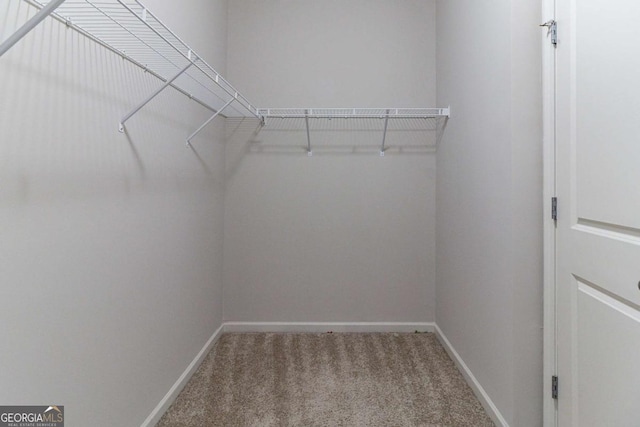 440 Dublin Way, Dallas, GA 30132 - walk in closet featuring carpet flooring