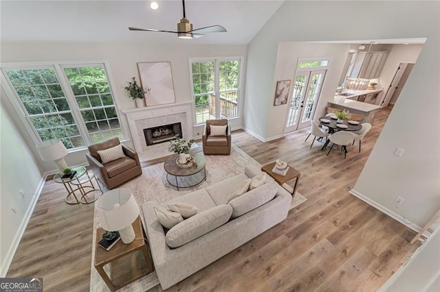 living area with lofted ceiling, wood finished floors, and baseboards