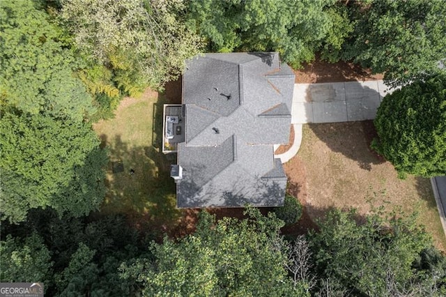 bird's eye view