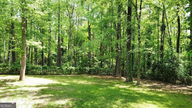 2045 Greentree Pkwy, Macon, GA 31220 - view of yard featuring a forest view
