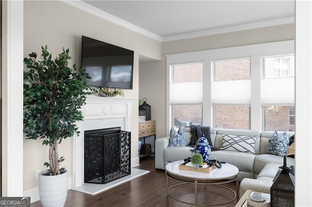 living room featuring a wealth of natural light, ornamental molding, wood finished floors, and a fireplace with raised hearth