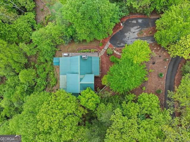 399 Ranch Mountain Dr, Dahlonega, GA 30533 - drone / aerial view