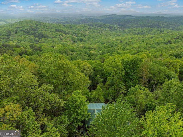 399 Ranch Mountain Dr, Dahlonega, GA 30533 - bird's eye view with a view of trees and a mountain view