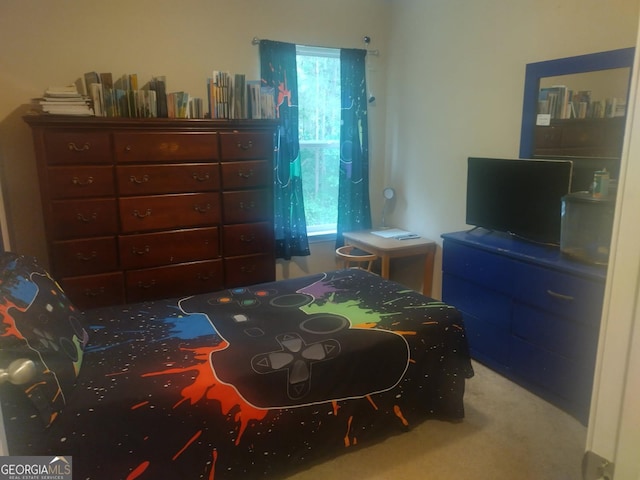 bedroom with carpet flooring