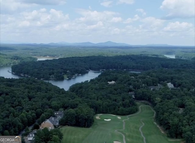 472 River Overlook Rd, Dawsonville, GA 30534