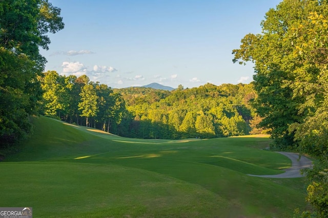 472 River Overlook Rd, Dawsonville, GA 30534