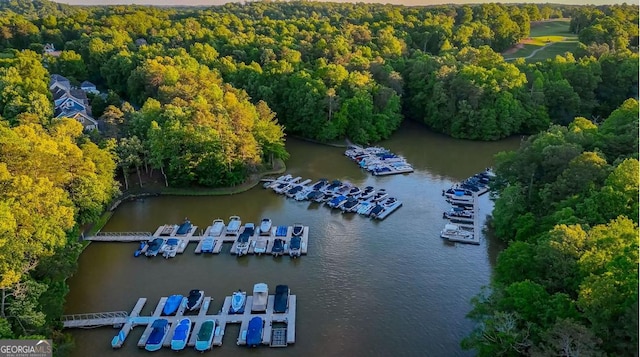 472 River Overlook Rd, Dawsonville, GA 30534