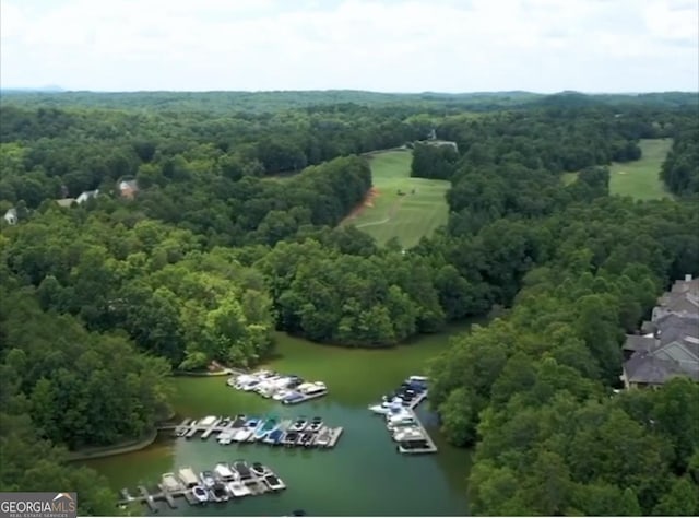 472 River Overlook Rd, Dawsonville, GA 30534