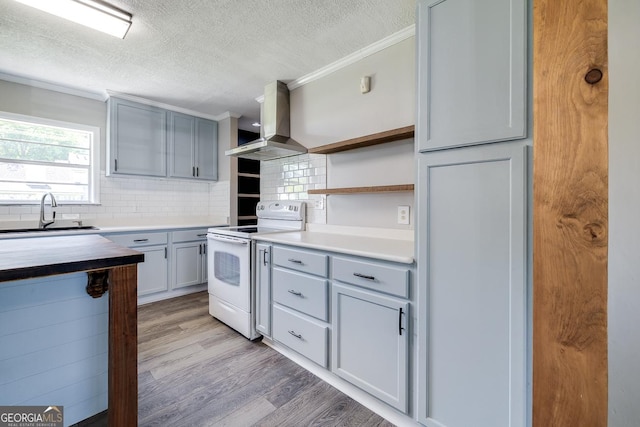 203 N Lake Dr, Brunswick, GA 31525 - kitchen with tasteful backsplash, electric stove, a sink, a textured ceiling, and ventilation hood