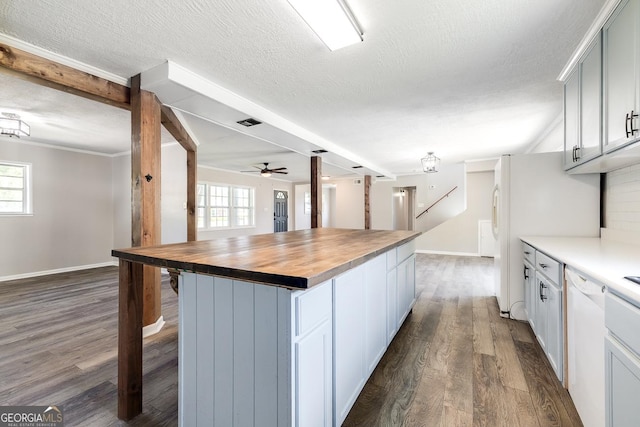 203 N Lake Dr, Brunswick, GA 31525 - kitchen with a ceiling fan, a wealth of natural light, a textured ceiling, and dark wood finished floors
